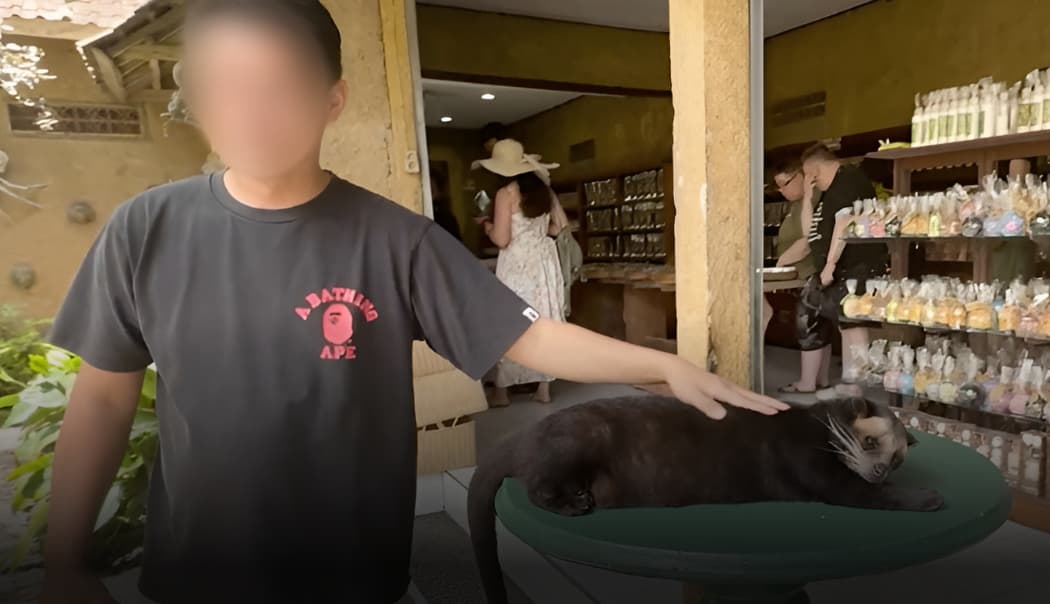 Animals exploited at Kopi Luwak facility, Bali