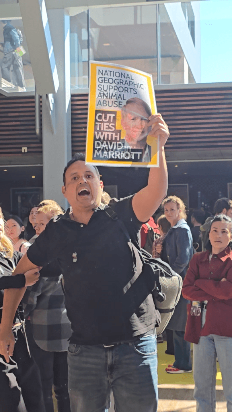 Activists taking action